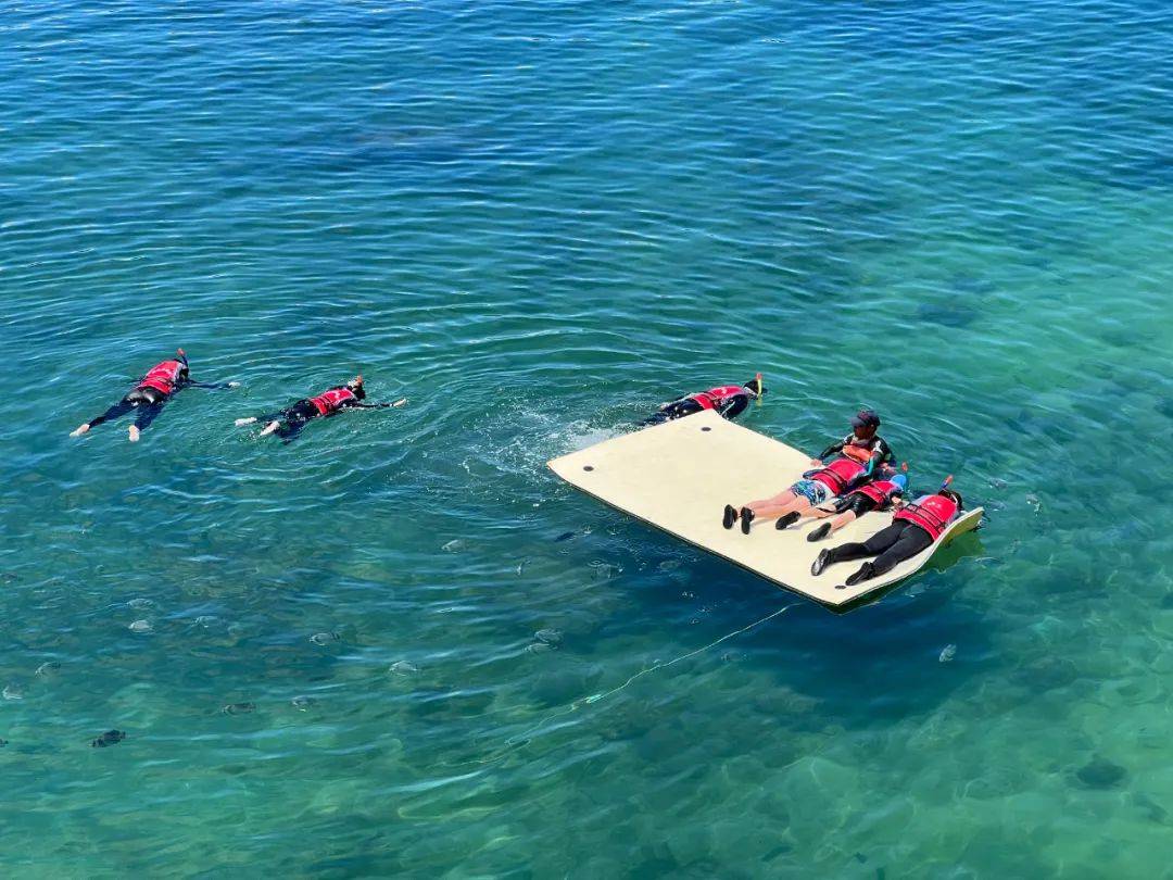 APP下载 星空 Sports-关于浮潜海底漂流：海底世界的奇妙冒险的信息